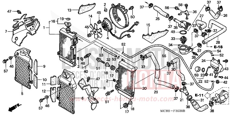 RADIATOR for Transalp 650 SPANGLE SILVER METALLIC (NHA49) from 2005